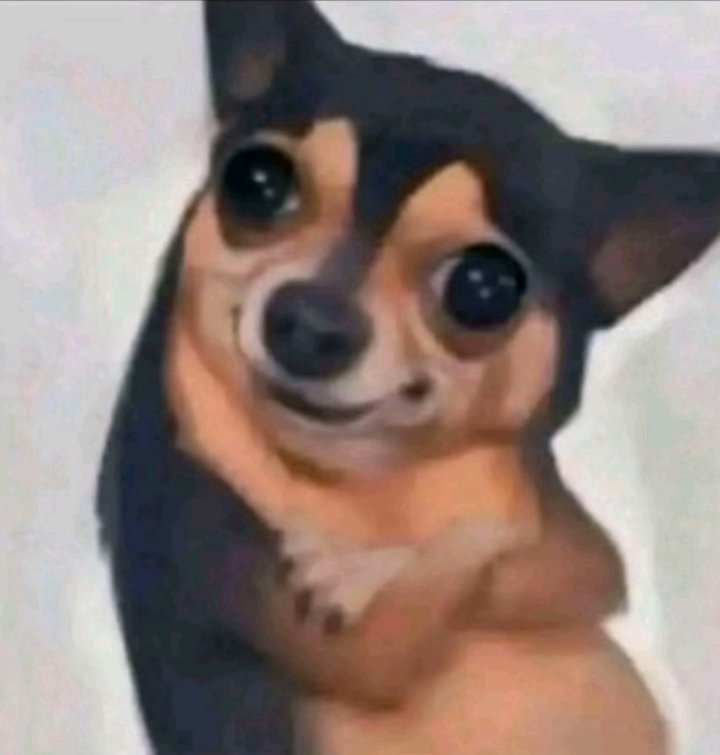 Big Drifter (ドリフター） tweet media