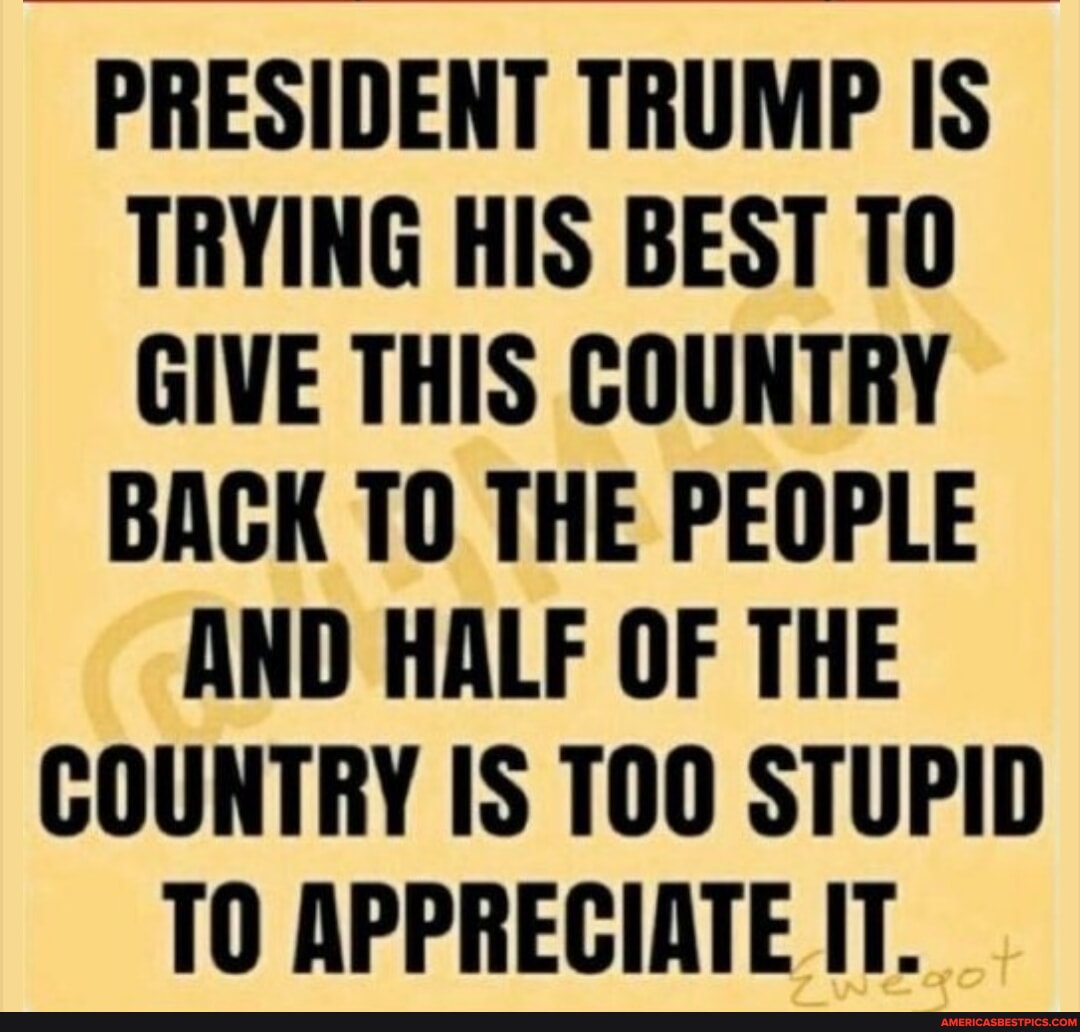 BadgerGary85494's tweet image. #president #trump #trying 
americasbestpics.com/picture/rqXS2p…
#AmericasBestPicsAndVideos