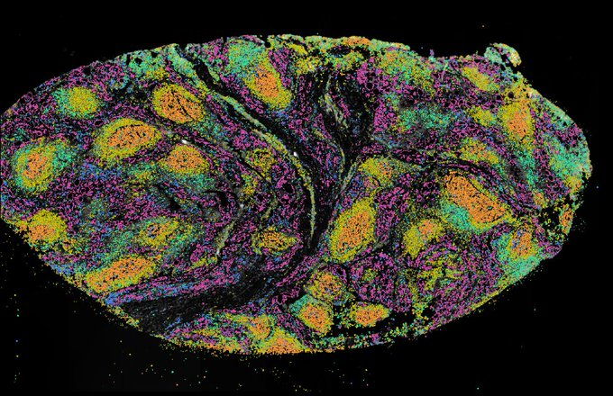 Waggoner Lab tweet media