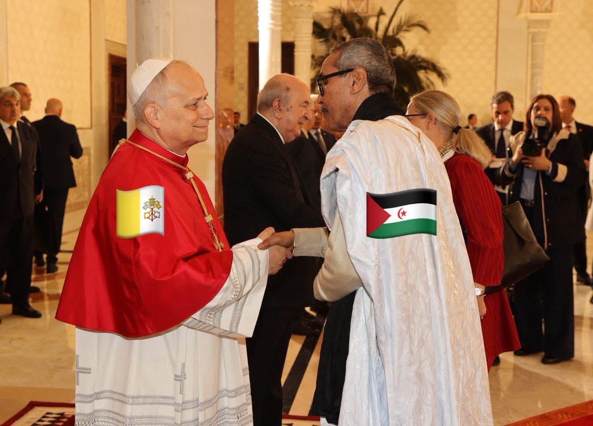 Amchiche 🐱 tweet media