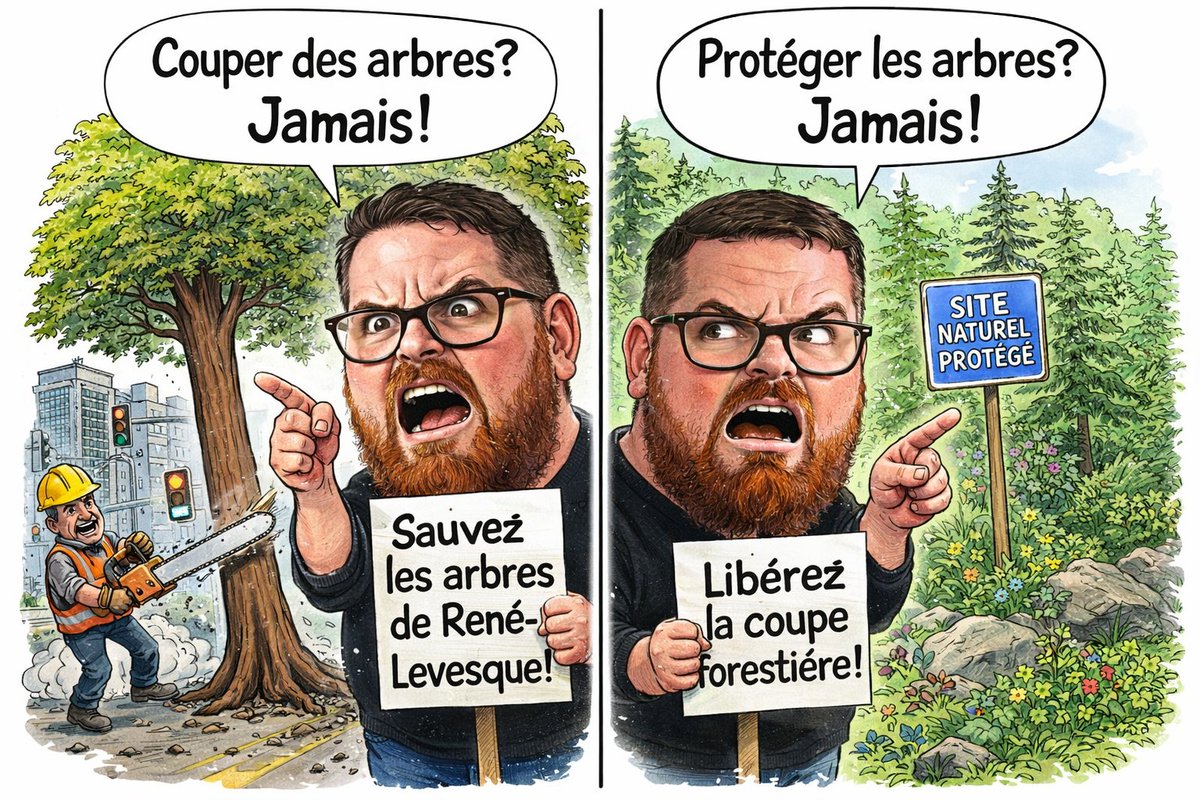 Marretoutcourt3 tweet media