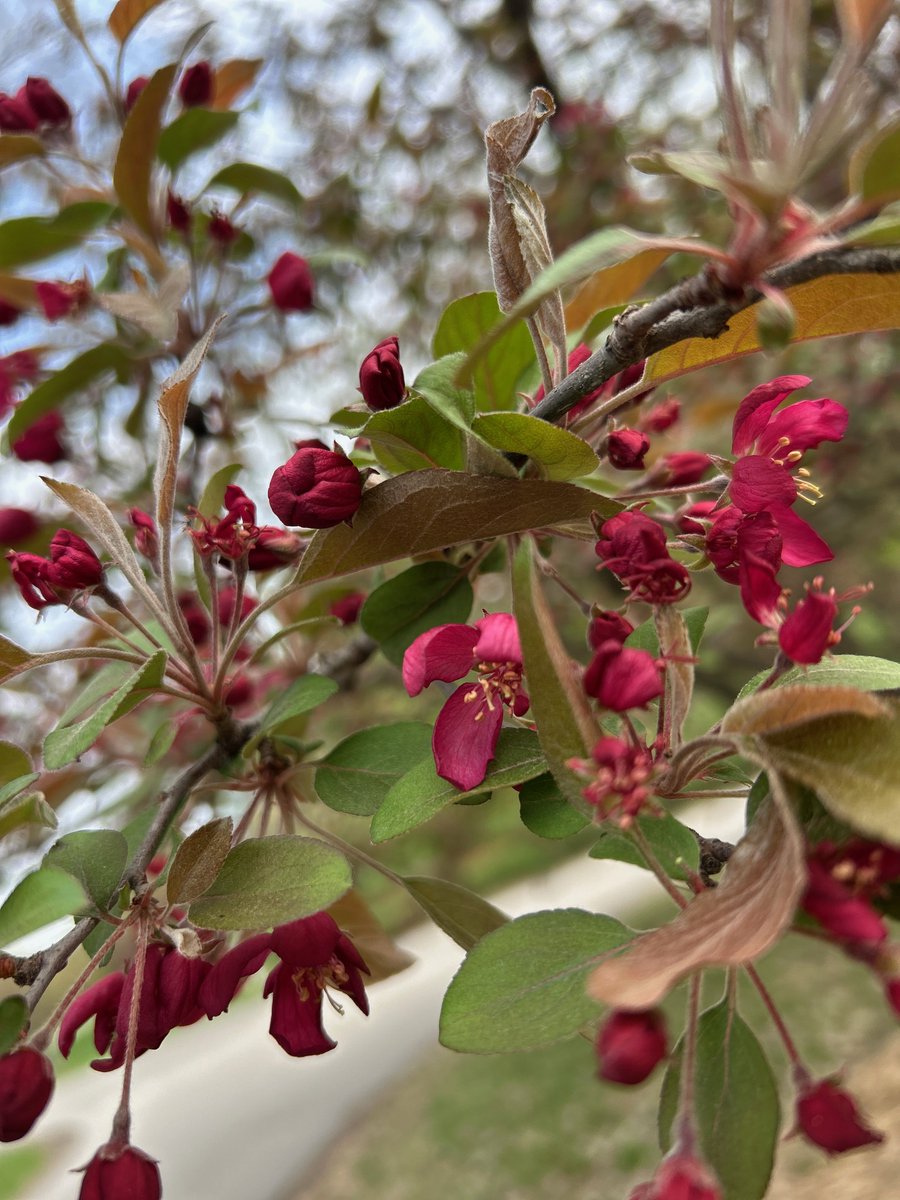 Des Moines Water Works💧 tweet media