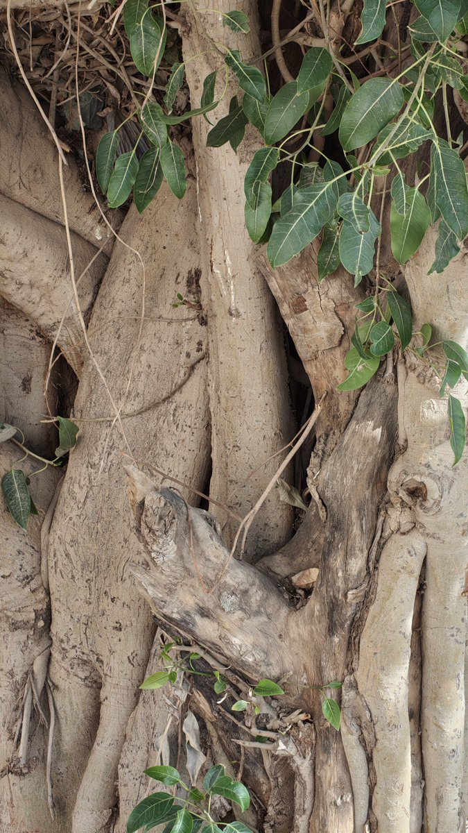 📷📱|• مُهند tweet media