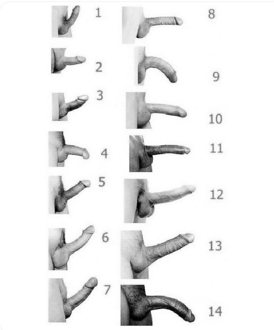 Pesimistik tweet media