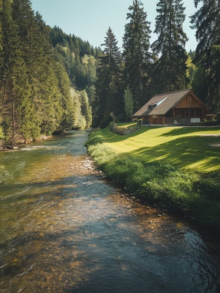 only aesthetic tweet media