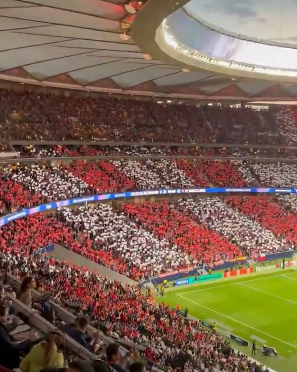 GRADA B pro tweet media