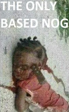 Muslims Rape Kids tweet media