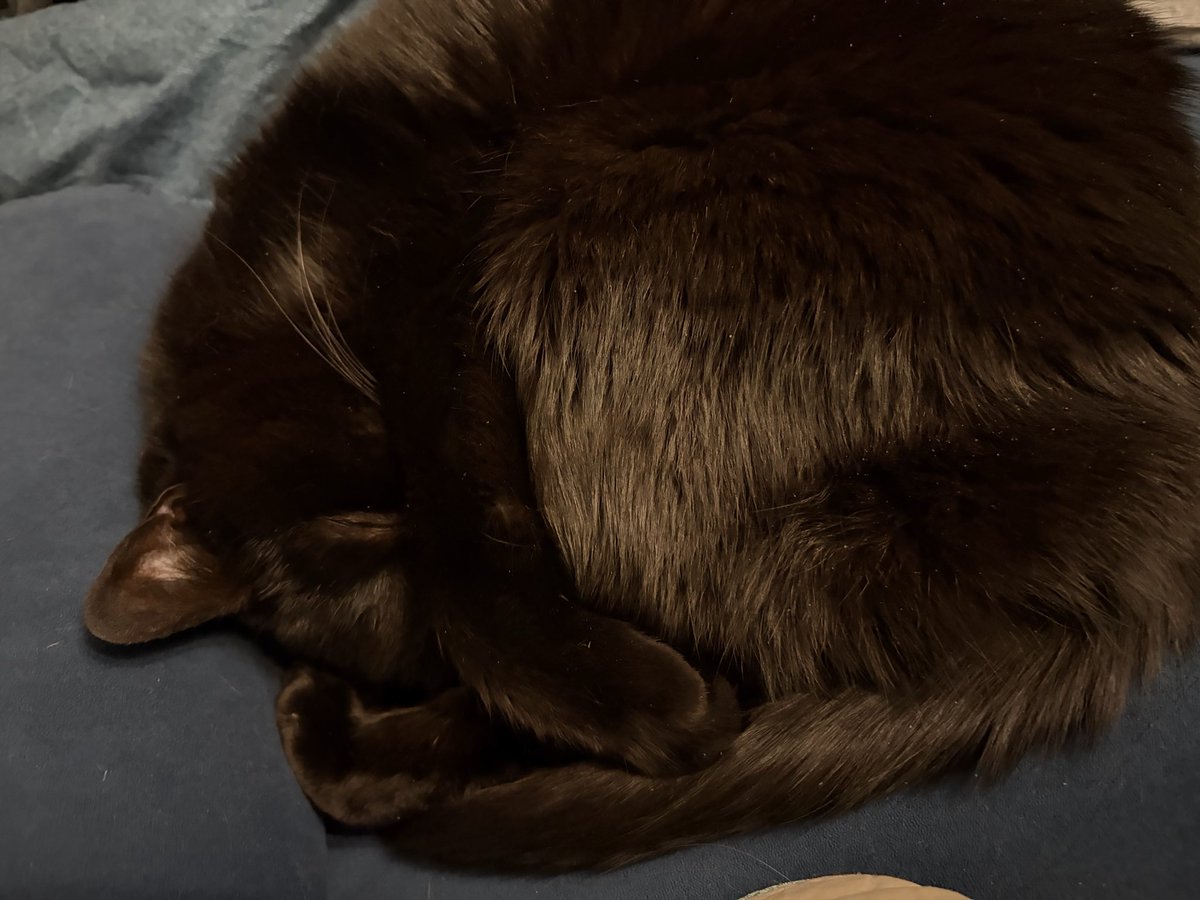 Нагрузочный вид чая. tweet media