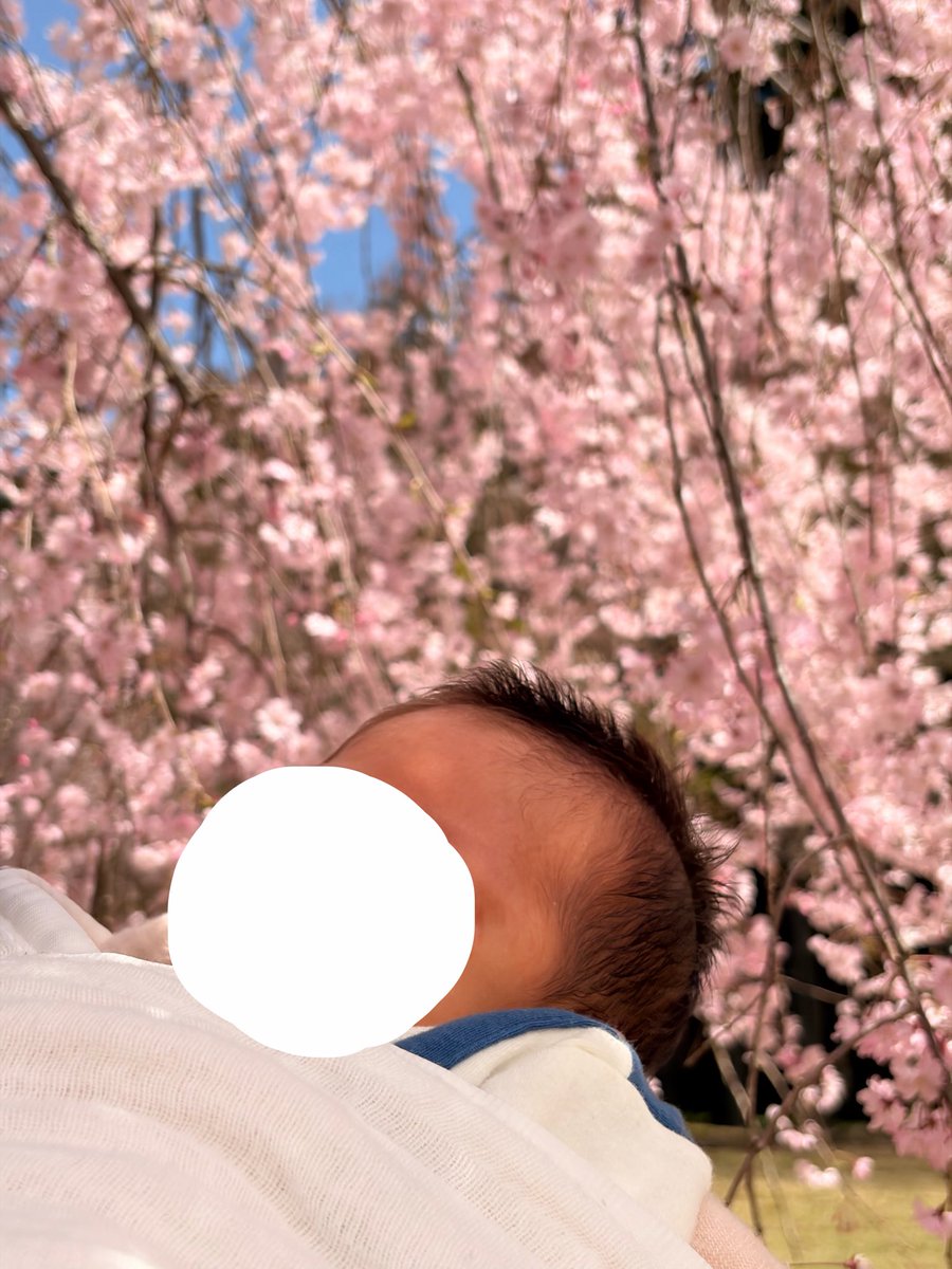 noko＊35w▶︎1m🦕⋆͛ tweet media