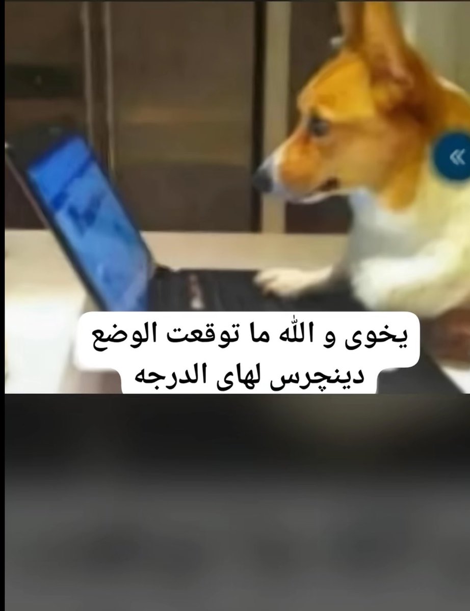 MEMO🇵🇸 tweet media