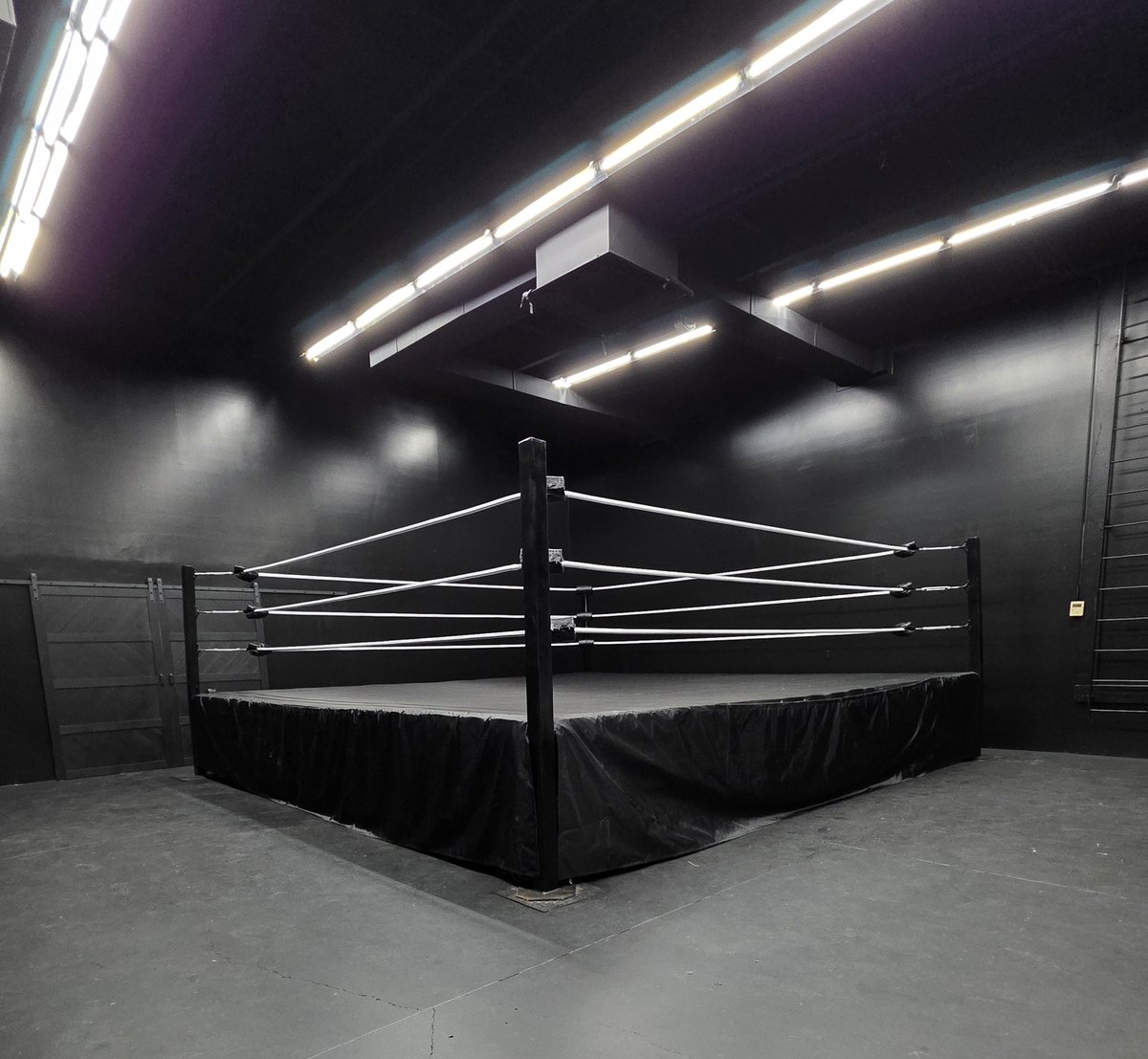 Ariya Daivari tweet media