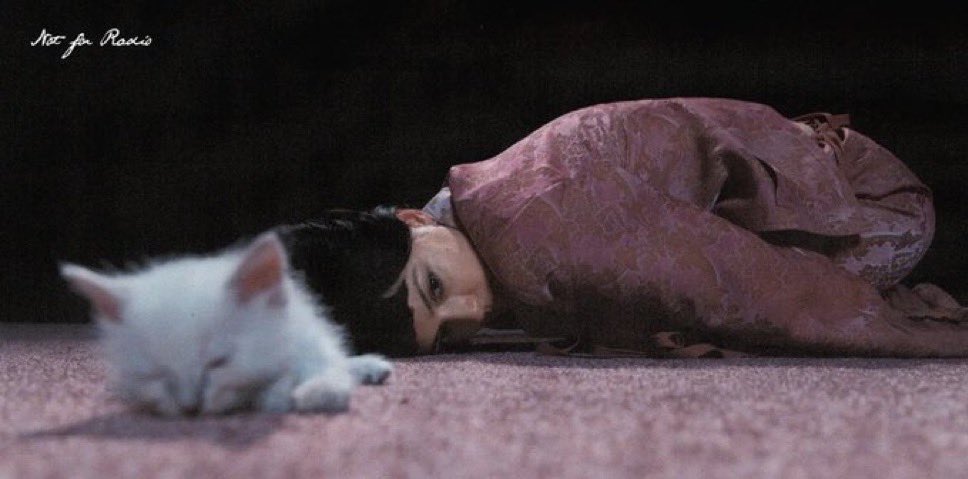 rach 𖧧 tweet media