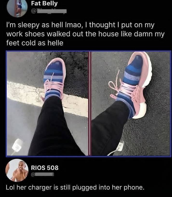 Wolf of X tweet media