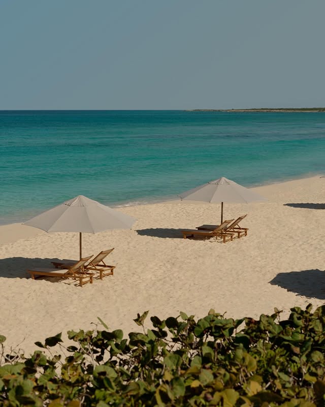 MilicaM84932667's tweet image. @DjokerNole x @Amanresorts 
Mobility and Recovery Programme by Novak Djokovic 💚

#Djokovic #NoleFam 
📸: @DjokerNole IG