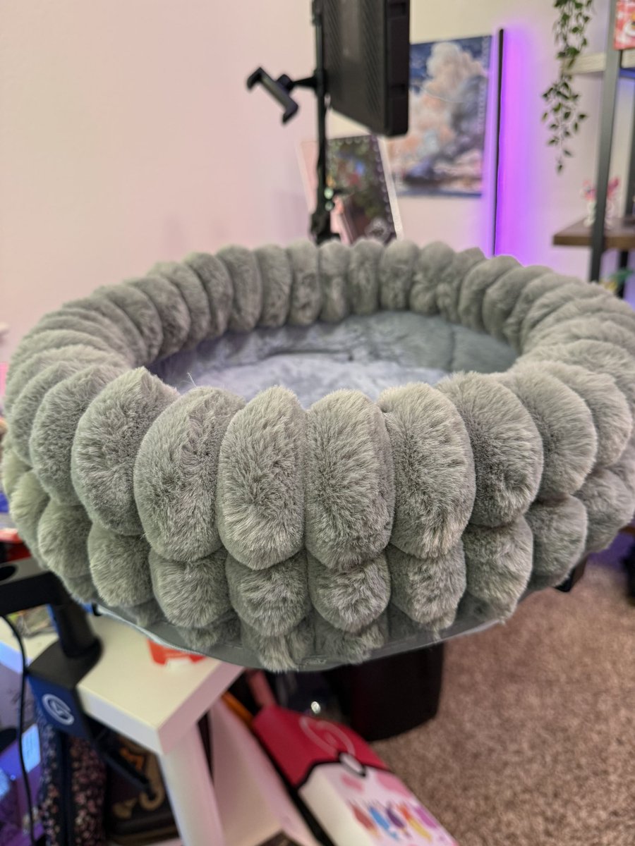 I’m so glad he’s making himself comfortable 😋 why use the bed when he can sleep on the desk and kick moms hand when she uses her mouse instead 😇