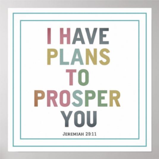NickOlahJohn's tweet image. Your best days are ahead of you. This spiritual poster for your office or living space reinforces the life-giving truth: I have plans to prosper you. 

zazzle.com/i_have_plans_t… 

A colorful testament to His goodness. #Future #ChristianPosters #Prosperity