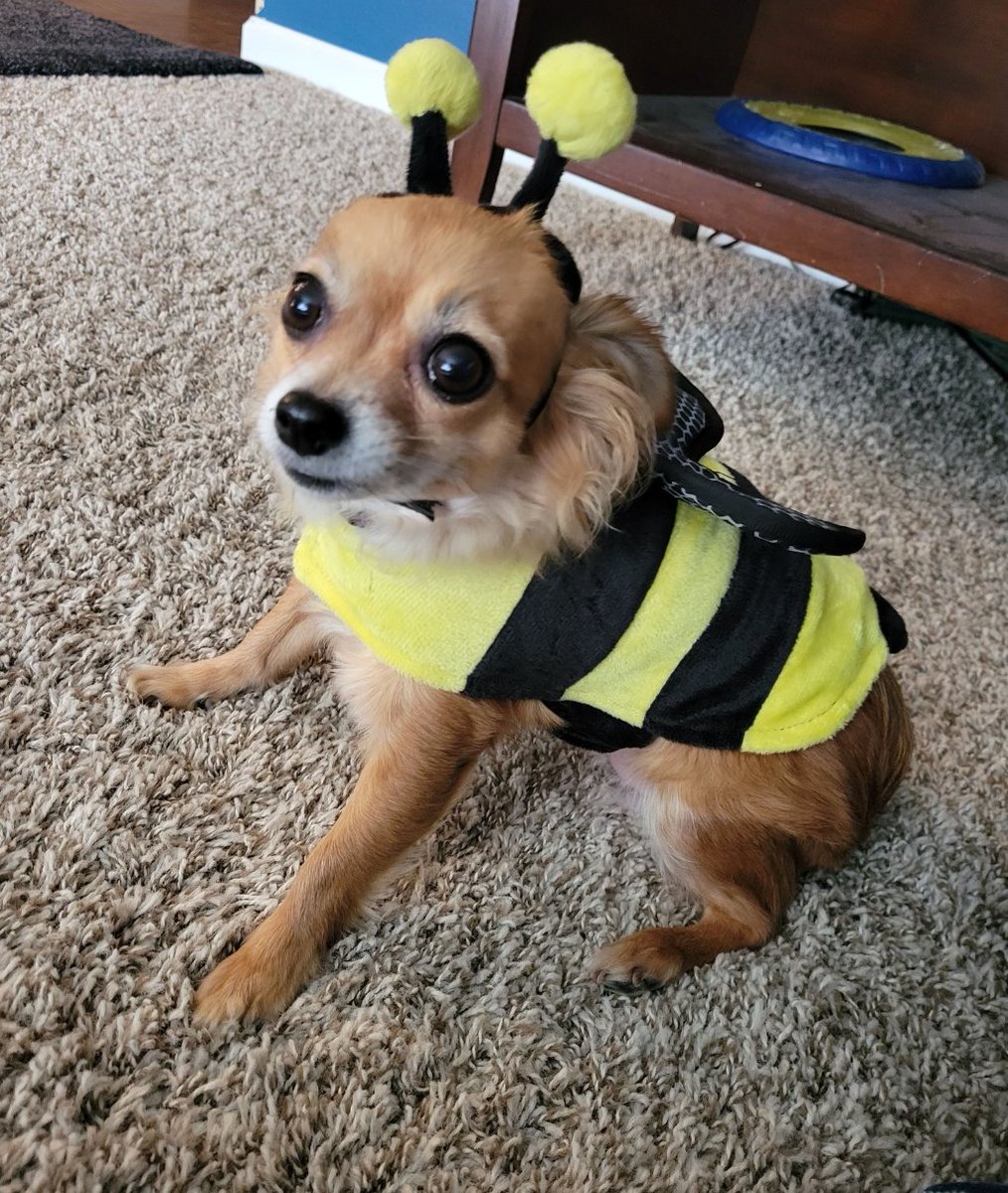 MTGNerdGirl tweet media