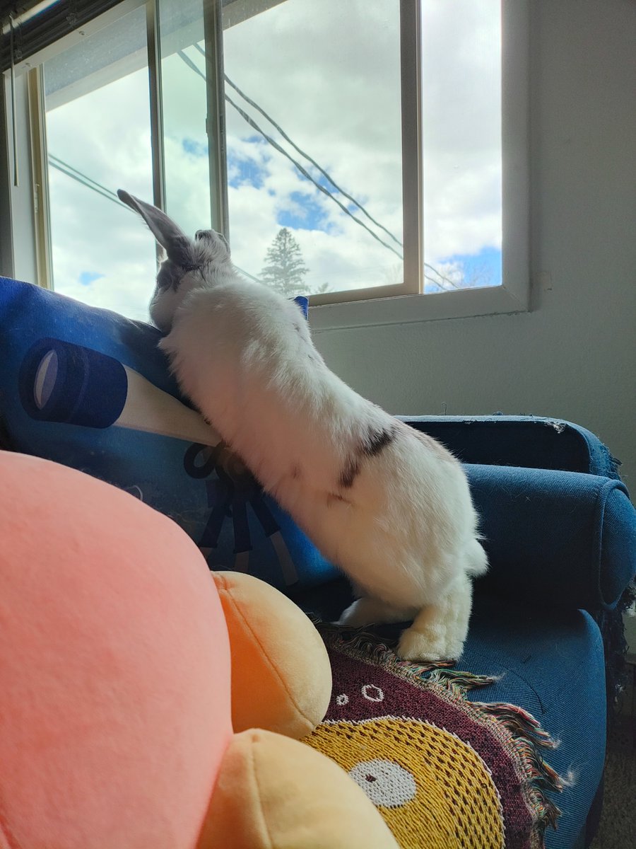 Princess Sephiroth 🍉 tweet media