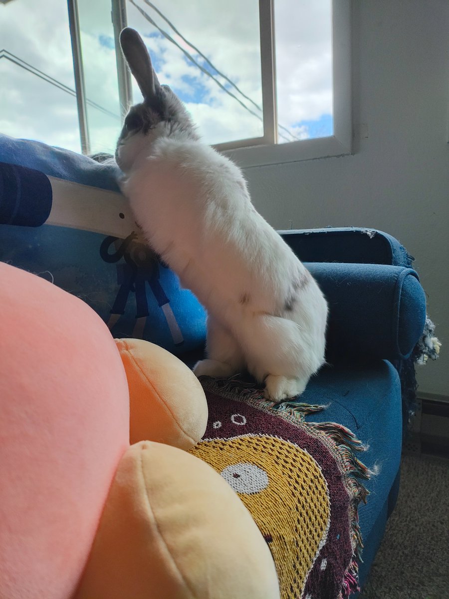 Princess Sephiroth 🍉 tweet media