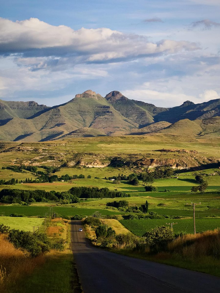 South African Tourism tweet media