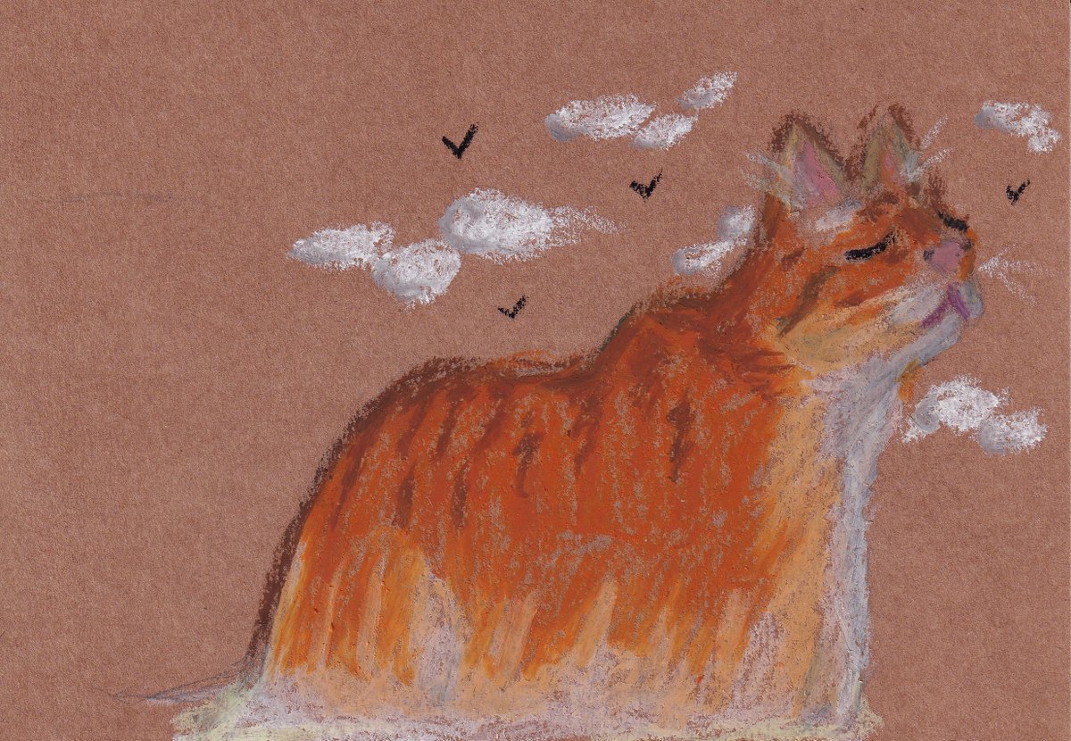 thecatfortress's tweet image. Gordito, the mountain that purrs
#art #cat #petportrait