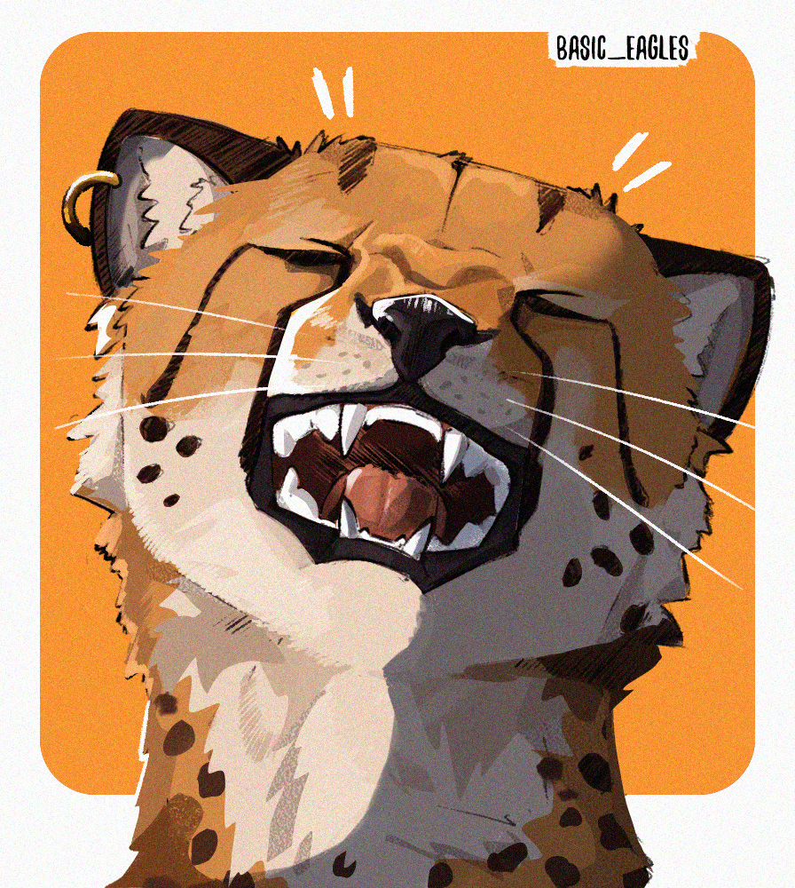 basic eagles tweet media