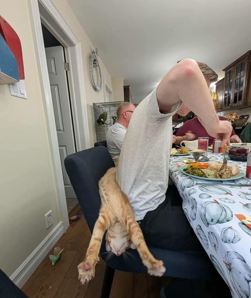 insane poses tweet media