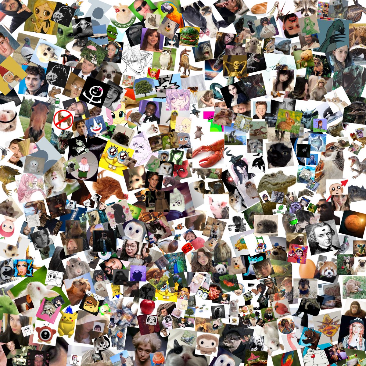 burritodog tweet media