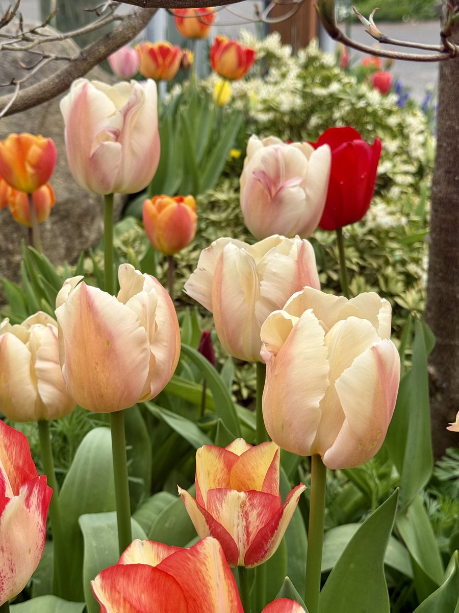 Scott = Blue Ghost 💙👻🏴‍☠️ tweet media