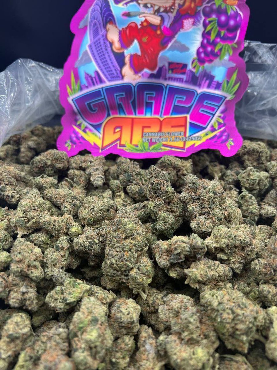 traptimeszaza's tweet image. Clearwater &amp;amp; Pembroke Pines 🔥💨🌿 exotics ZAZA GAS lit FL plug weed bud 727 954 Dank exotic loud sticky icky pressure nugs 🍃 droppin' 👀 #Weed #Gas #Clearwater #PembrokePines