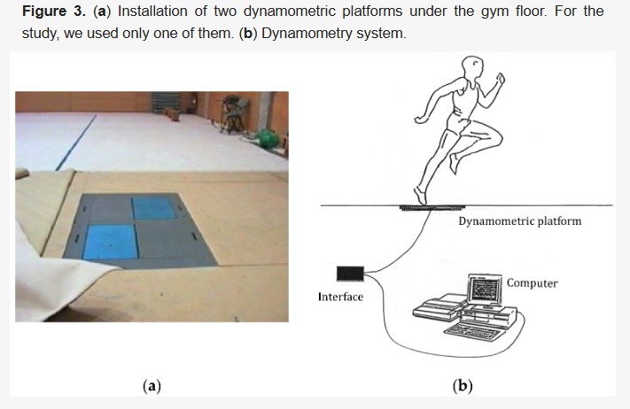 Biomech_MDPI's tweet photo. The study aimed to identify kinetic variables that serve as performance indicators for the Pike Jump in Rhythmic Gymnastics, focusing on intermediate stages of the jump. Link: https://t.co/TxoktiwQjz https://t.co/1Jm4dChcDD