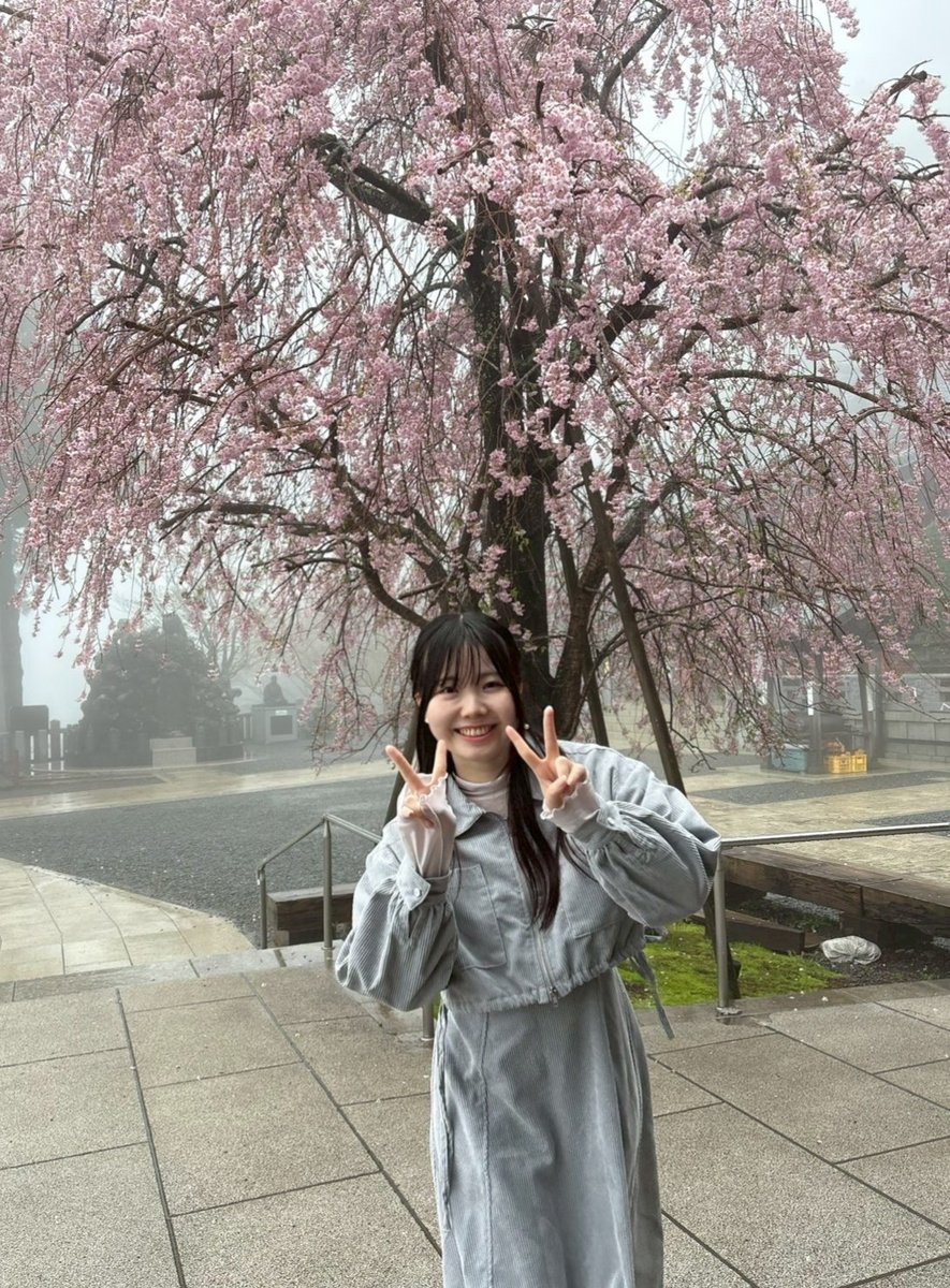 若山実祐希 tweet media