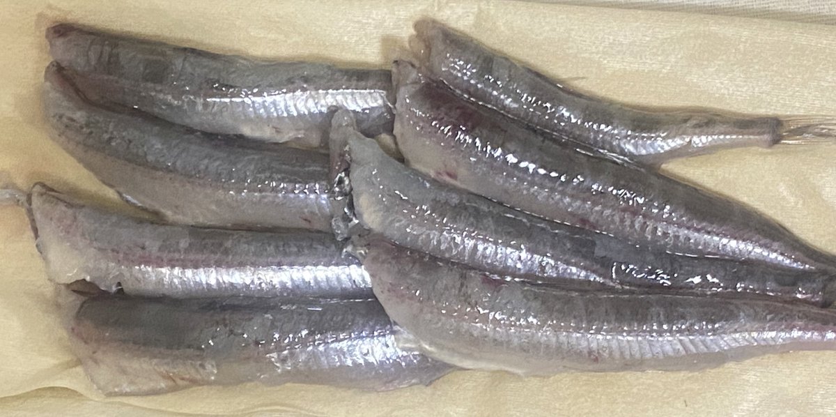 Kaorun_K tweet media