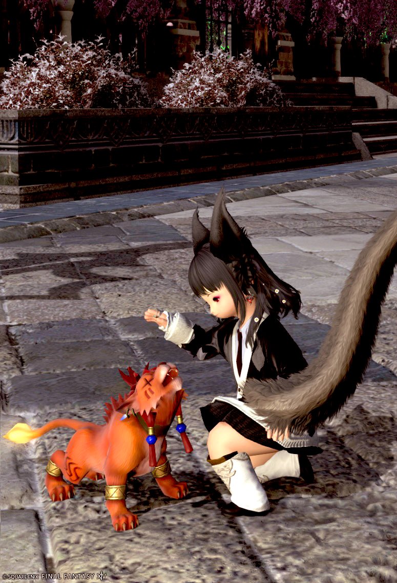 ちゃきすけ tweet media