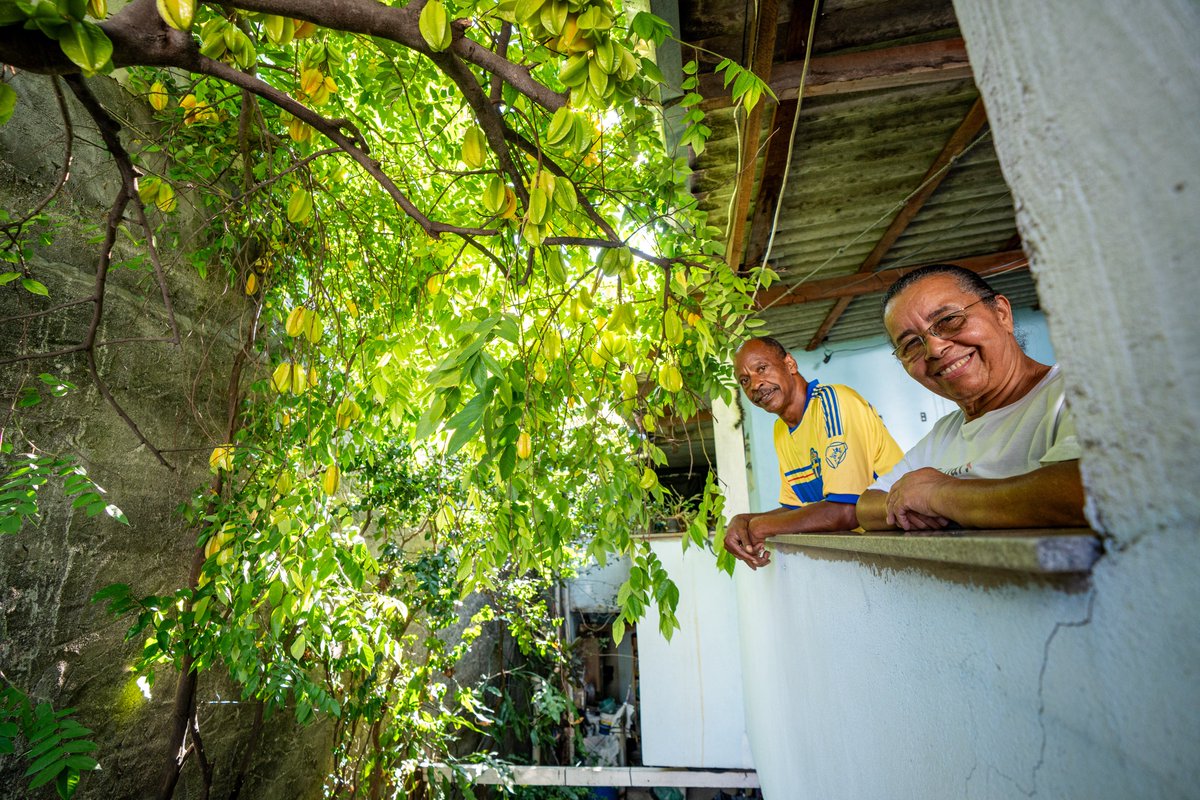 UNAS_Heliopolis's tweet photo. Crianças do CEI Girassol viveram um dia especial ao visitar a casa de Dona Lica e Seu Beto, moradores de Heliópolis há mais de 40 anos. No quintal da família, onde é cultivado com carinho um lindo pé de carambola, onde a criançada pôde colher a fruta direto da árvore. https://t.co/sFrZl6IUUE