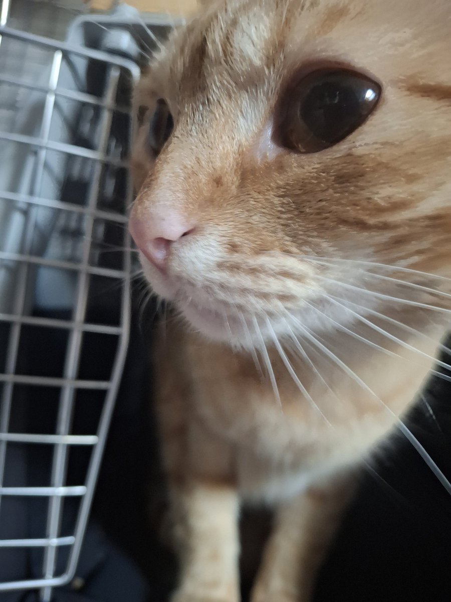 min⁷⭑loves yoongi .ᐟ tweet media