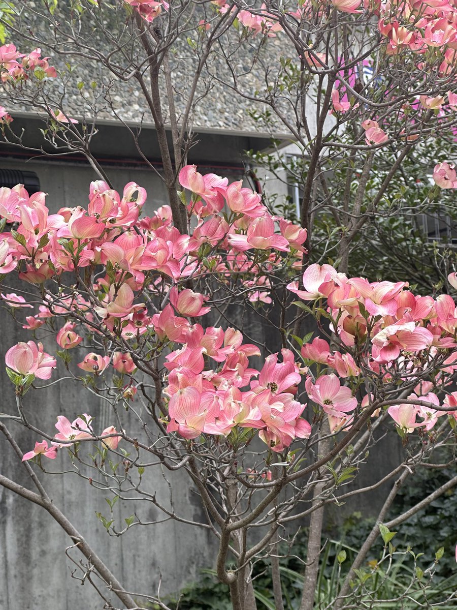 Суд Центрального района г. Минска tweet media