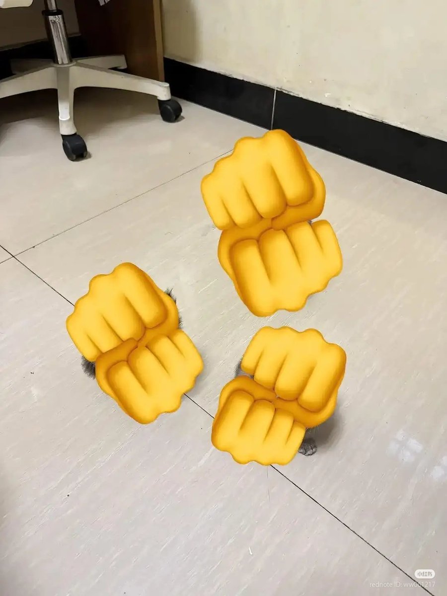 No Context Cats tweet media