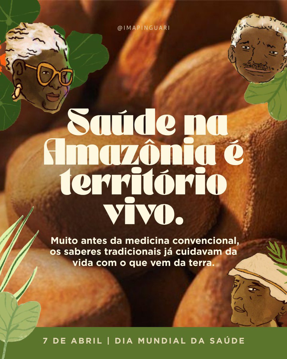 IMapinguari's tweet photo. 🌿➡️ Na Amazônia, muita coisa que cura nasce da terra e vive na memória de quem aprendeu a cuidar com ela. São saberes passados de geração em geração, que seguem presentes no cotidiano de comunidades como o quilombo do Curiaú. Segue o fio! ⬇️ https://t.co/en9x5CJImV