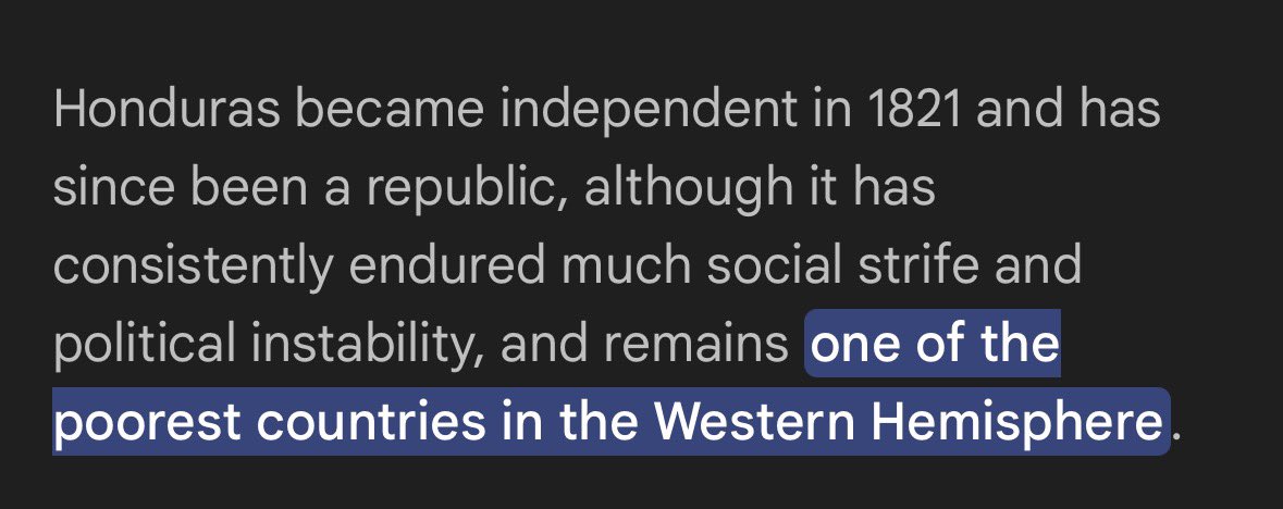 PiNKHamster 🐹 tweet media