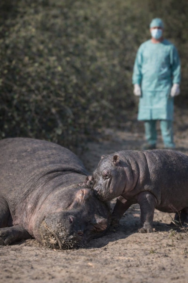 Ahora Si ANTIOQUIA tweet media