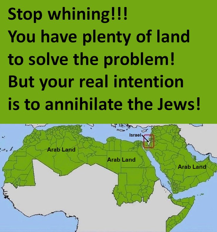 A.SALAMON tweet media