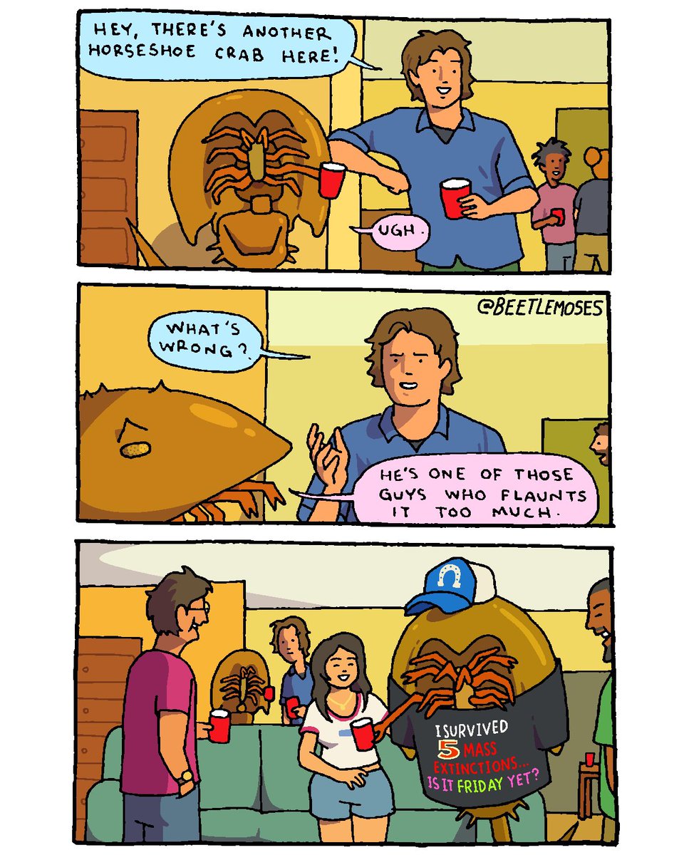 beetle moses tweet media