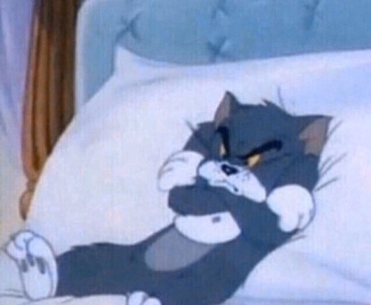 Mustafa N.T tweet media