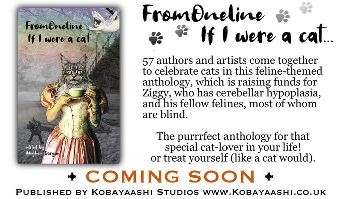 MarionBerndt 🕊 tweet media