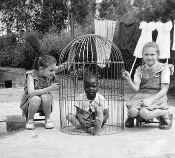 mrladige🇹🇷🤍❤️💛🇪🇸🤲🇵🇸 tweet media