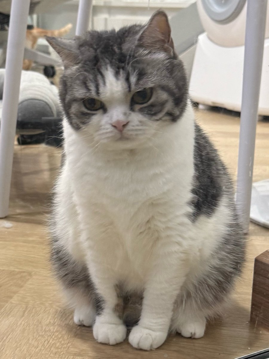 DNVP 💋 (Malonfamily) tweet media