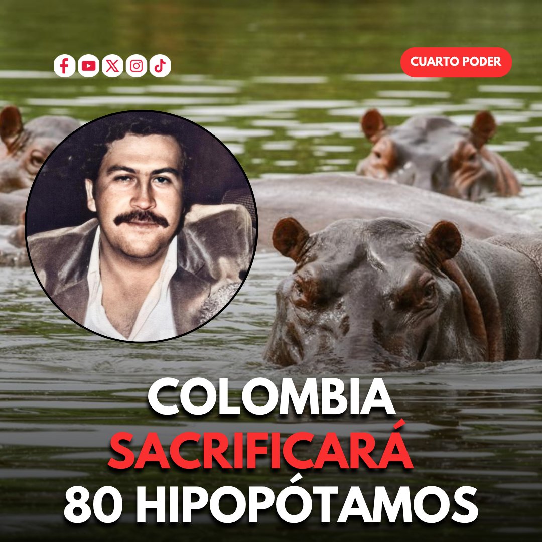 Cuarto Poder tweet media