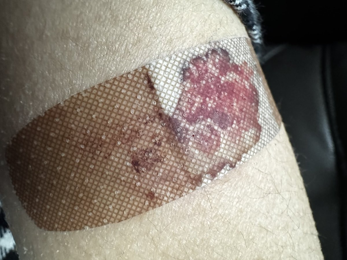 Tea Leaves // Hong Lu of shedtwt!! tweet media