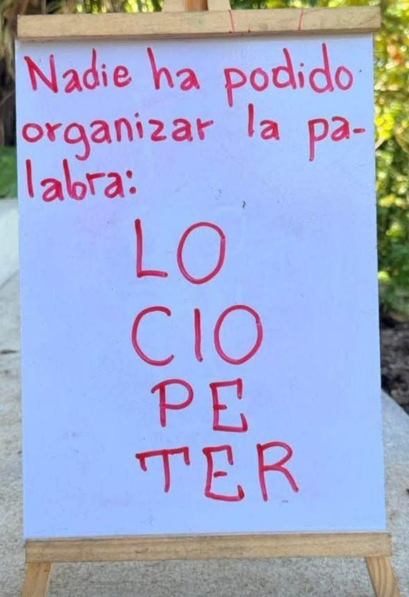 SandraQuiñones tweet media